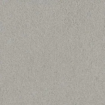 Draufsicht Girloon TWIN Teppichboden Velours 500 Schiefer, 2/4 m breit